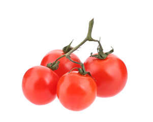 Close up of tomatoes branch.