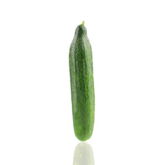 Close up of fresh cucumber.