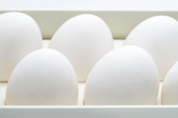 Eggs background