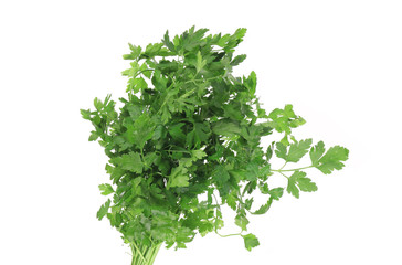 Bunch of fresh green parsley.