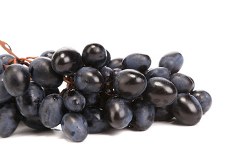 Black ripe grapes.