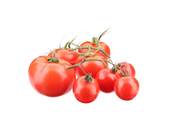Branch of fresh tomatoes.