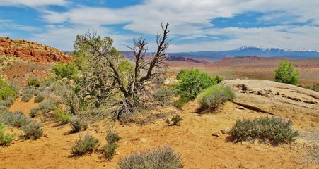 Arches National Park, Utah