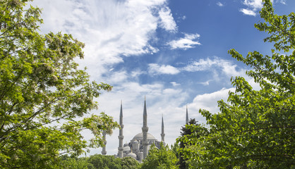 Obraz premium blue mosque in istanbul on a sunny day