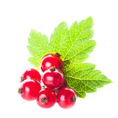 Red currant isolated