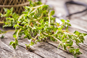 thyme on the wooden table