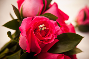 кольцо © dina777