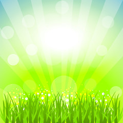 Obraz premium Abstract vector background with nature theme