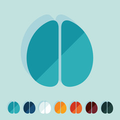 Fototapeta premium Flat design: brain