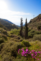 Kreta - Griechenland - Hochebene