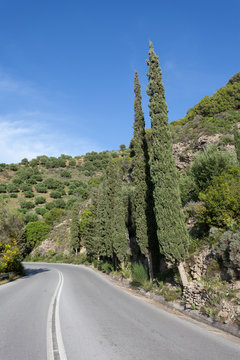 Kreta - Griechenland - Landstraße mit Zypressen