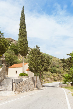Kreta - Griechenland - Zypresse bei Prevelhi