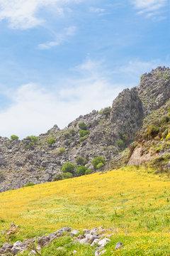 Kreta - Griechenland - Blumenwiese bei Plakias