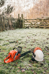Chainsaw in the garden