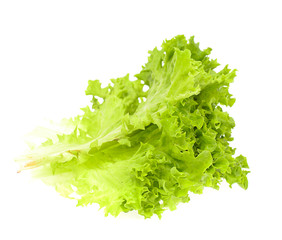 Lettuce isolated on white background