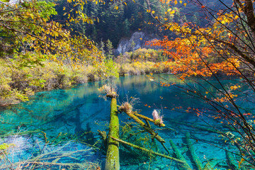 beautiful inverted image in jiuzhaigou national park