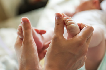 newborn baby feet in female hands