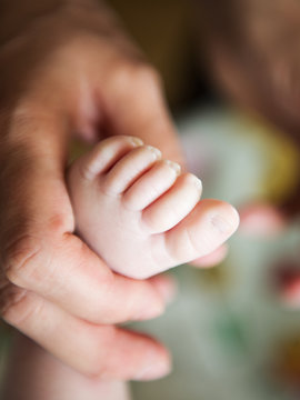 newborn baby feet in female hands