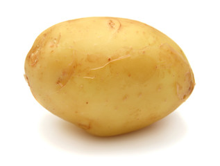 Potato