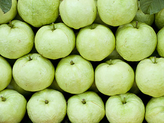 Guava