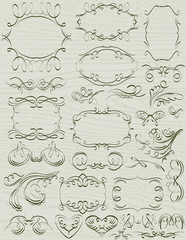 floral decorative borders, ornamental rules, dividers, vector