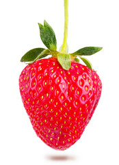 juicy ripe strawberries