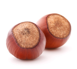 hazelnut or filbert nut isolated on white background cutout