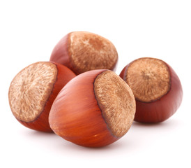 hazelnut or filbert nut isolated on white background cutout