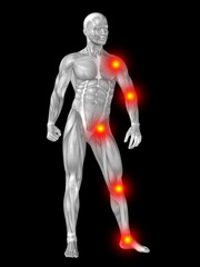 3D human man anatomy with articular pain