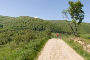 Obraz premium Szlak turystyczny w górach, Bieszczady, Polska 