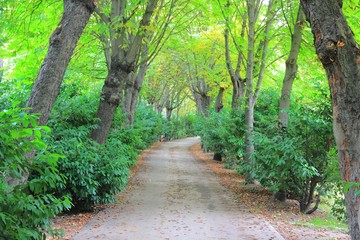 Madrid park - Jardines de Sabatini