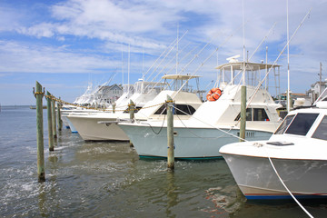 Fishing boats