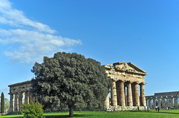 Fototapeta na wymiar Świątynie w Paestum