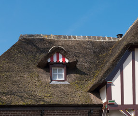 Fototapeta na wymiar thatched roof