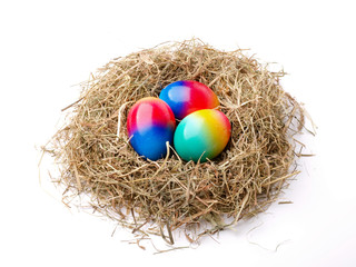 Easter eggs in nest