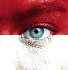Human face painted with flag of Monaco
