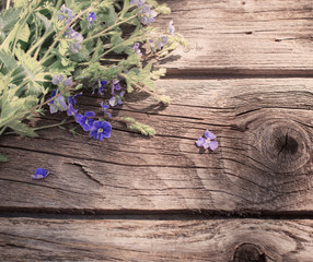 flowers on wooden background