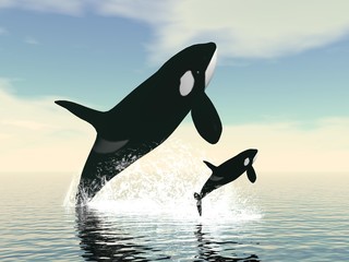 Fototapeta premium Killer whale mum and baby - 3D render
