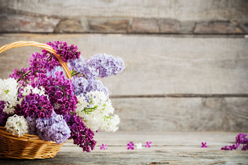 Still life with a blooming branch of lilac