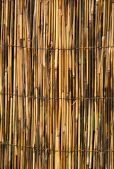 bamboo fence