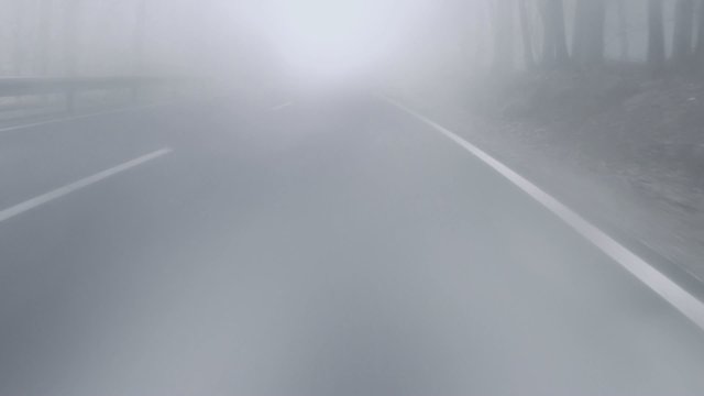 Bad weather driving - foggy country road