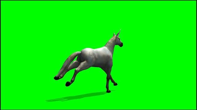 Unicorn runs  - green screen
