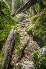 Czech National Natural Heritage Rudice Basin