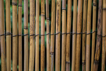 bamboo curtain, screens, home, garden