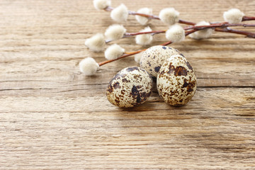 Obraz premium Quail eggs and catkins on rustic wooden table