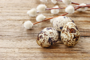 Obraz premium Quail eggs and catkins on rustic wooden table