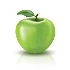 Green apple vector