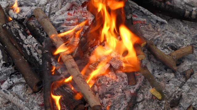 Close up of a campfire and putting some log wood into the fire