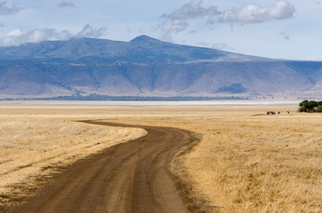 Ngorongoro Crater