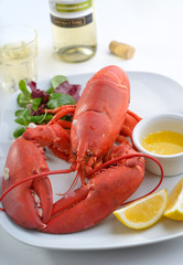 Lobster